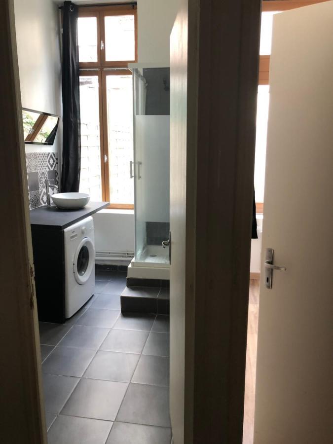 Appartement Et Son Jardin A Lille Fac De Droit Luaran gambar